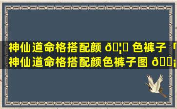 神仙道命格搭配颜 🦆 色裤子「神仙道命格搭配颜色裤子图 🐡 片」